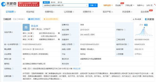 信息系統(tǒng)集成服務的全面解析與未來展望